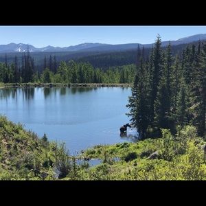 Meet your Posher, Anita